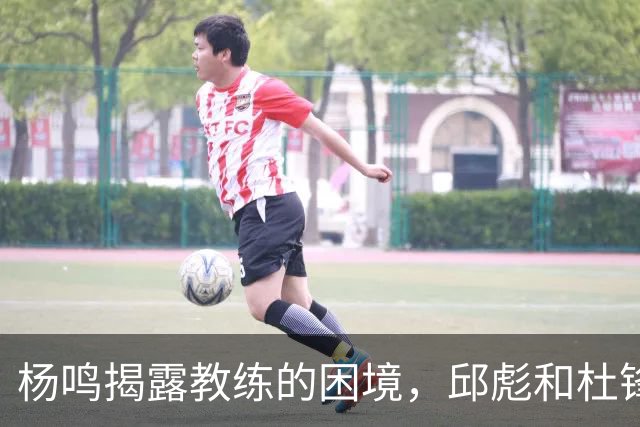 杨鸣揭露教练的困境，邱彪和杜锋的小团队行为是否成为自保策略？