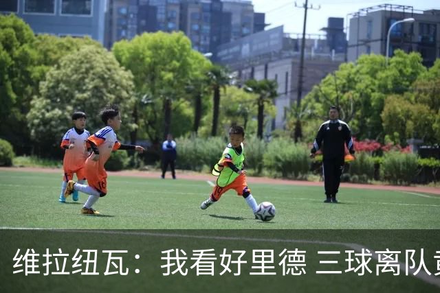 维拉纽瓦：我看好里德 三球离队黄蜂的实力反而得到了提升